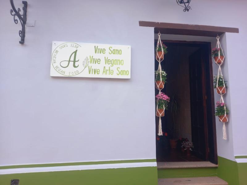 Hotel Arte Sano Vegan Hotel&spa San Cristobal 3*